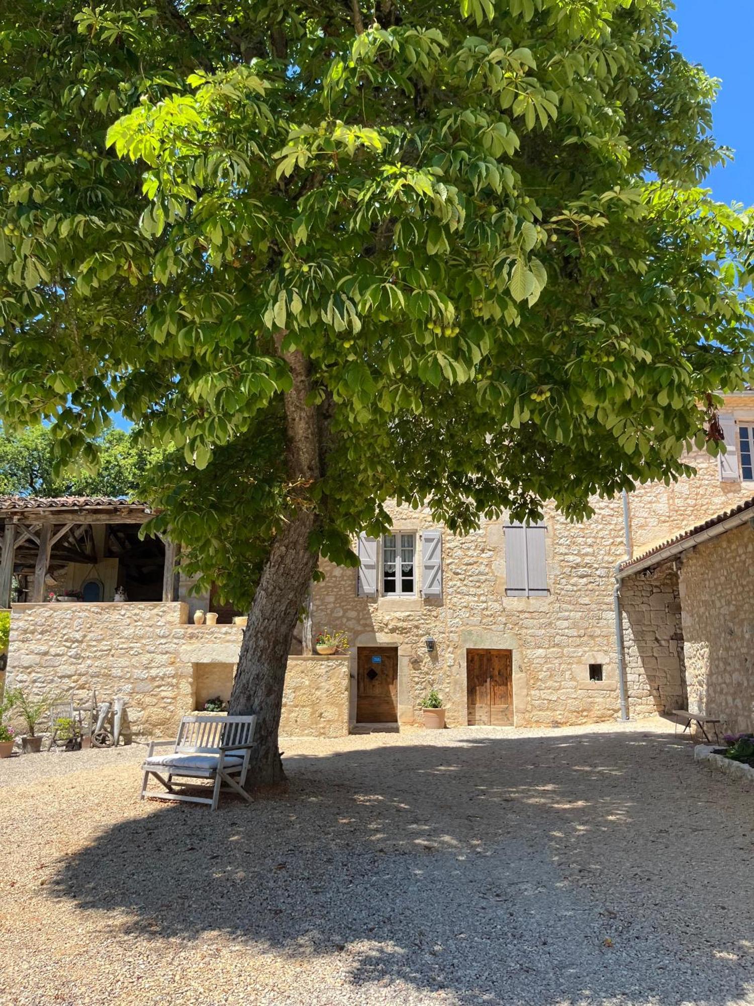 Maison D'Hotes De La Boissiere Andillac Luaran gambar